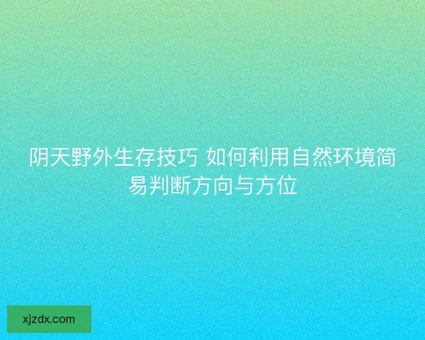 阴天野外生存技巧 如何利用自然环境简易判断方向与方位